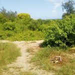 50 ACRES BEACH PLOT FOR SALE IN BOFA - KILIFI COUNTY