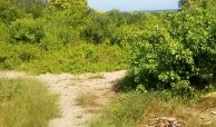 50 ACRES BEACH PLOT FOR SALE IN BOFA - KILIFI COUNTY