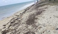 3 ACRES BEACH PROPERTY FOR SALE AFTER SUN N SAND BEACH RESORT IN KENYAN COAST, MOMBASA 