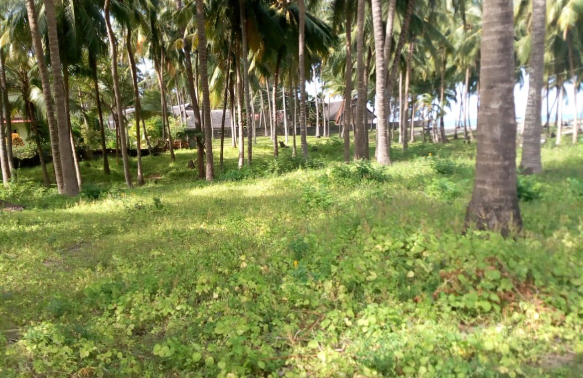 3 ACRES BEACH PROPERTY FOR SALE AFTER SUN N SAND BEACH RESORT IN KENYAN COAST, MOMBASA 