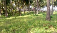 3 ACRES BEACH PROPERTY FOR SALE AFTER SUN N SAND BEACH RESORT IN KENYAN COAST, MOMBASA 