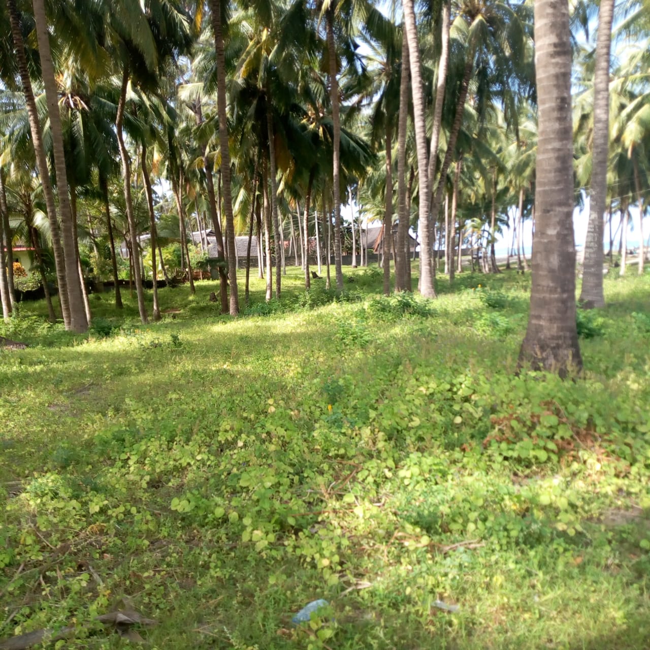 3 ACRES BEACH PROPERTY FOR SALE AFTER SUN N SAND BEACH RESORT IN KENYAN COAST, MOMBASA 