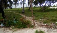 2 BEACH PLOTS FOR SALE IN KENYA AT NYALI BEACH MOMBASA