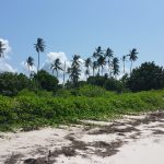 3.0 Ha. 0.9Ha. AND 0.9 Ha. DIANI BEACH MOMBASA-KENYA PLOTS FOR SALE