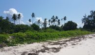 3.0 Ha. 0.9Ha. AND 0.9 Ha. DIANI BEACH MOMBASA-KENYA PLOTS FOR SALE