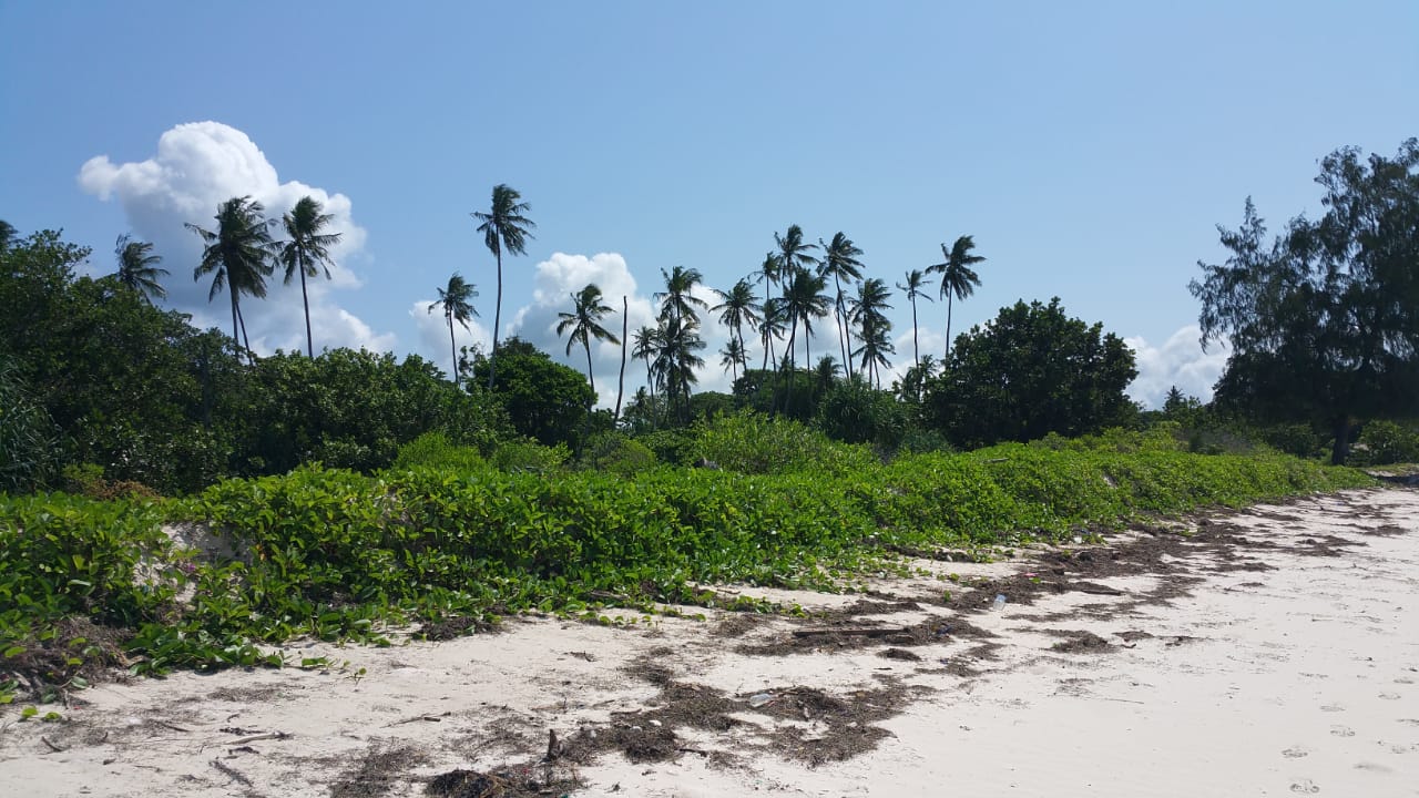 3.0 Ha. 0.9Ha. AND 0.9 Ha. DIANI BEACH MOMBASA-KENYA PLOTS FOR SALE