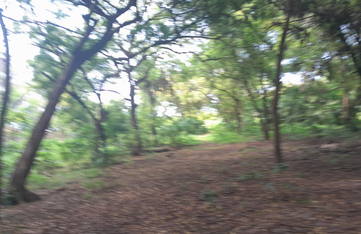 2.8 ACRES BEACH PLOT IN NYALI MOMBASA-KENYA FOR SALE