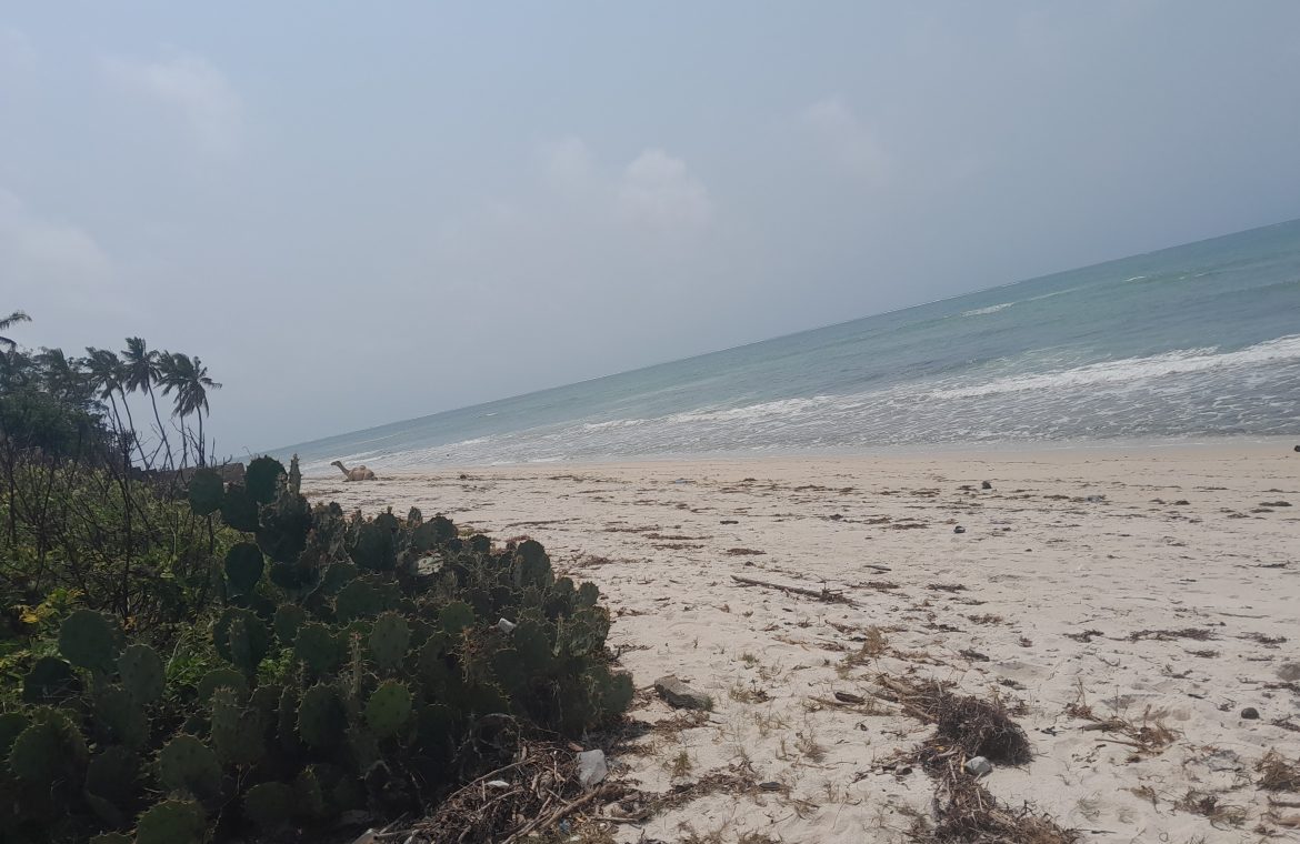 2.8 ACRES BEACH PLOT IN NYALI MOMBASA-KENYA FOR SALE