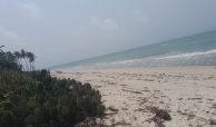 2.8 ACRES BEACH PLOT IN NYALI MOMBASA-KENYA FOR SALE